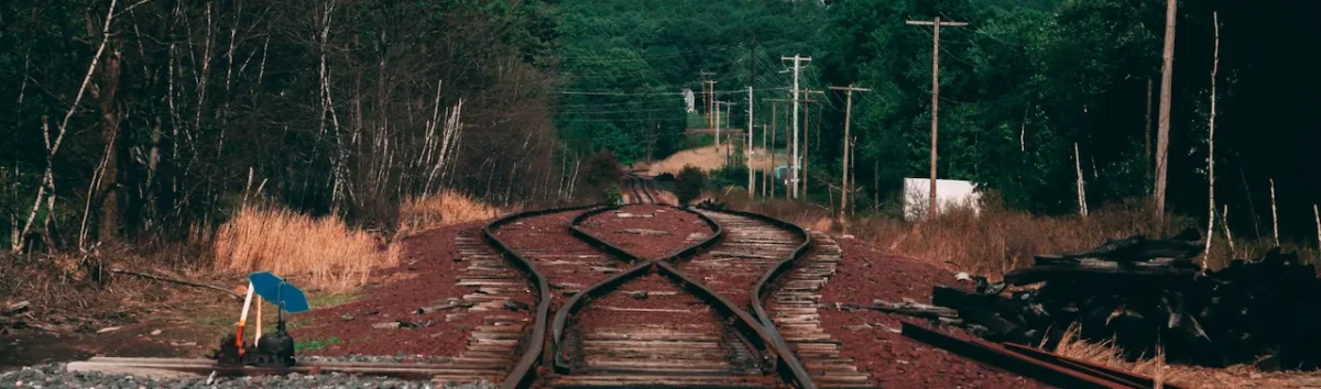 Beautiful shot of a brown metal train track surrounded by trees