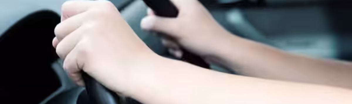 hands on the steering wheel